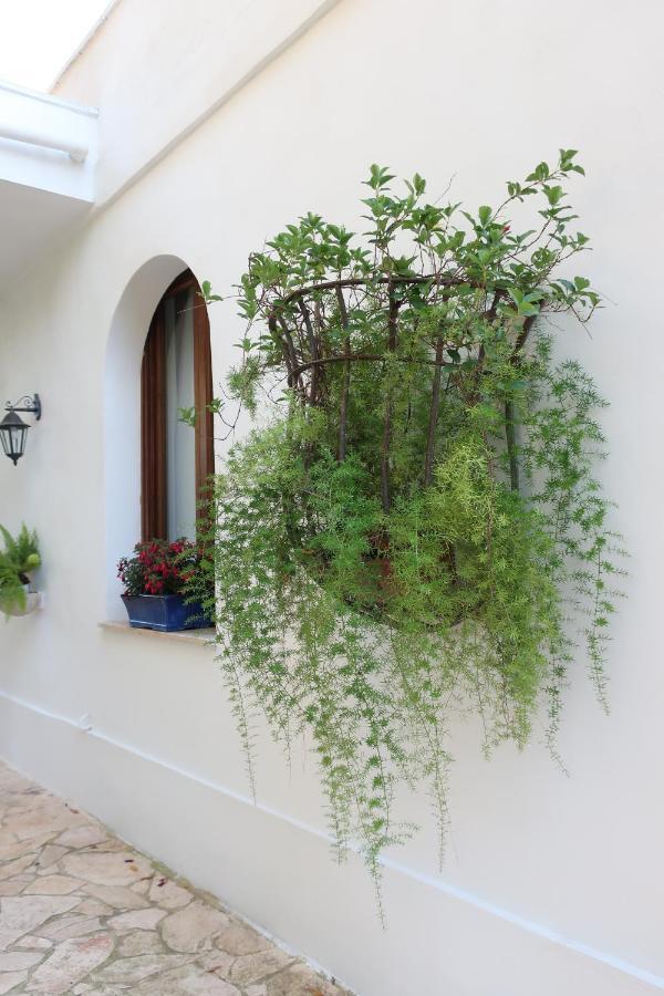 Il Trullo Del Cadetto Villa Francavilla Fontana Kültér fotó