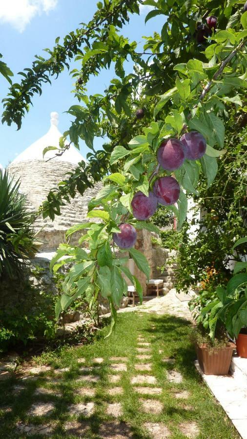 Il Trullo Del Cadetto Villa Francavilla Fontana Kültér fotó