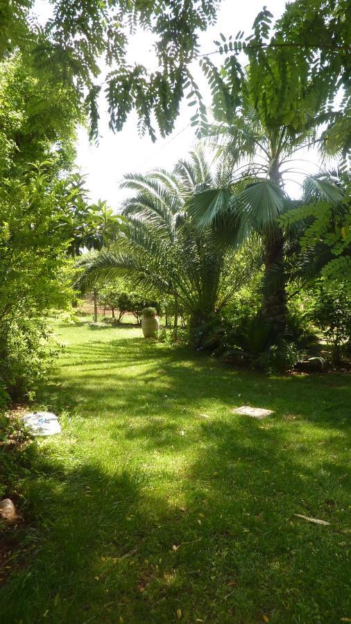 Il Trullo Del Cadetto Villa Francavilla Fontana Kültér fotó